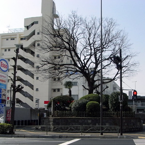 摜13