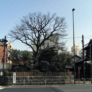 摜14
