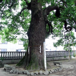 摜15