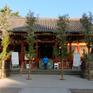 摜11
